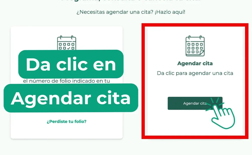 Citas Becas Benito Juarez
